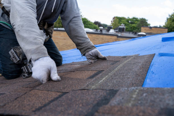 Best Metal Roofing Contractor  in Bossier City, LA